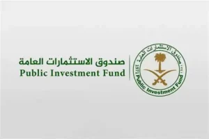 صندوق الاستثمارات